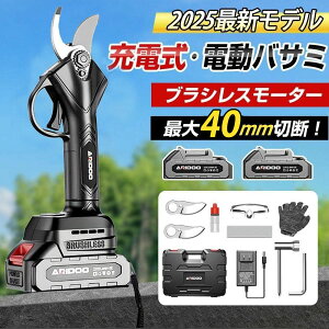 d΂ [d oT~ ΂ݓd ΂ [d obe[2 dnT~ uVX[^[ ^y J40mm [d Jpx\  |p ʎp ƒp }