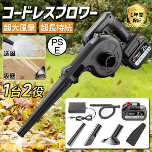 u[ [d uA[   ^ ƏW12 eʃobe2 ŋ R[hXu[ nfB [du ~j iϑ ΂ du[ t 