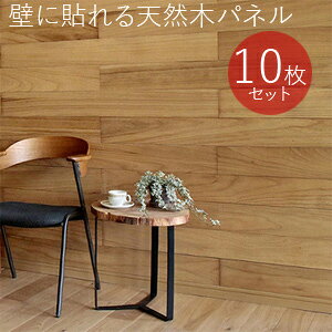 SOLIDECO \fR ǂɓ\VR؃pl 10g SLDC-10P yz [Ǎ EH[pl Ebhpl ǖʃpl ؐpl ǃpl V[^Cv ]