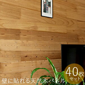 _y[WE}WbNNXt^@SOLIDECO \fR ǂɓ\VR؃pl 40g SLDC-40P yz [\fRǂɓ\΂ɁI JtF͋̕CɂȂؐ EH[