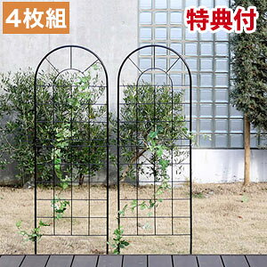 _y[WE}WbNNXt^@NVbNtFX150 [^Cv 4g YB015L-4Pyz [̉Ԃiȑ݊͂̃K[fgX]