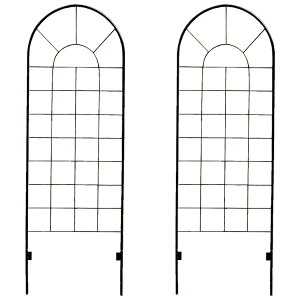 ACAtFX ubN yzyohtzyNVbNtFX120 [^Cv 2g YBIF-120-2Pz K[ftFX K[fgX ډB O[J[e