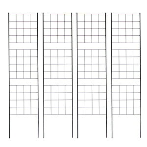 K[ftFX yzyACAtFX 176 X Ot 4g IF-GR025-4Pz K[fjOtFX XtFX gX eBX