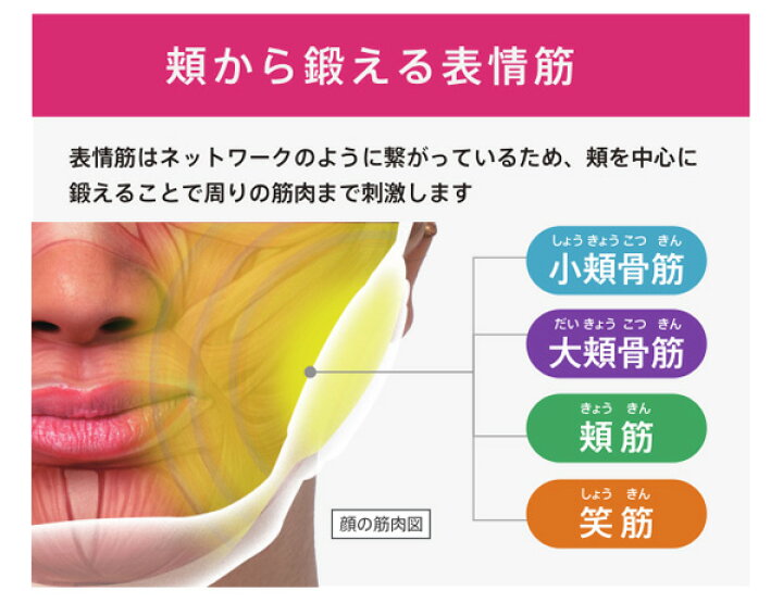 楽天市場 ページ限定 マジッククロス付 正規販売店 表情筋トレーニング 送料無料 Dr Ellemiss Liftre フェイスケア フェイストレーニング Ems 笑顔トレーニング スマイルトレーニング Nstショッピング 楽天市場 ページ限定 マジッククロス付 正規販売店 表情筋トレーニング 送料無料 Dr Ellemiss Liftre フェイスケア フェイストレーニング Ems 笑顔トレーニング スマイルトレーニング Nstショッピング