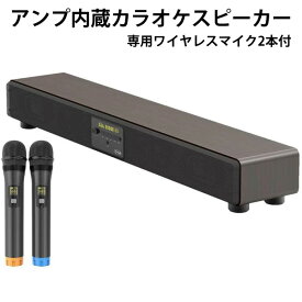 カラオケマシン ■送料無料・マイク2本付■【カラオケ サウンドプロ TKMI-002】 カラオケ機器 カラオケマシーン アンプ内蔵 家庭用カラオケ おうちカラオケ