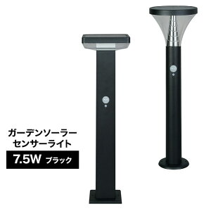 _y[WE}WbNNXt^ ymusashi K[f\[[ZT[Cg7.5W ubNzLEDK[fCg