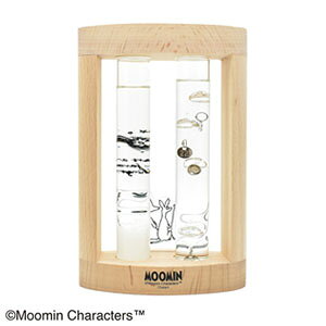 y2025N1z[~̒uy[~ xvXg[OX 152-333251zv[g 킢 k̃LN^[[~f Fun Science u CeAIuWF j MOOMIN