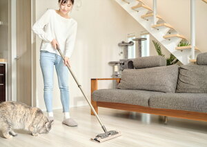 �R��Y�Ɓy�R���h�� �^�t���b�s�[�u���b�V�� N-300�z�t���A���C�p�[ ���b�v �{�� �|�����b�v