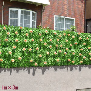 ډBO[tFX 1m×3m 60t a31449 yz m3m×1m ډBO[ ԕt ΂̃J[e [ttFX ȒPt tFCNO[ x_n