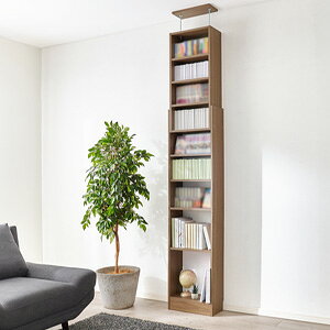 _y[WE}WbNNXt^@˂ǖʎ[bN 45 RCC-1558