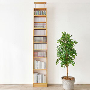 _y[WE}WbNNXt^@˂ǖʎ[bN 45 RCC-1558