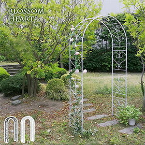 _y[WE}WbNNXt^@ACAA[` zCg uY Hsv yzyACAA[` Blossom Heart ubTn[g IA-BH005z