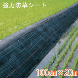 楽天市場 畦道の通販