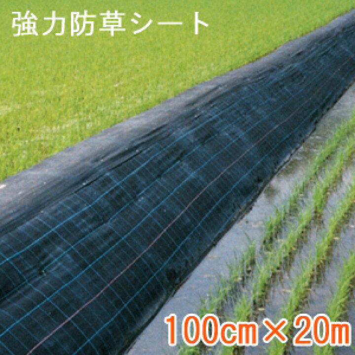 楽天市場】防草シート シートピン付き 【送料無料】【日本製】【超強力 