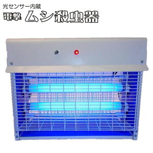 _y[WE}WbNNXt^@݂艺^E yzyPROMOTE VEiZT[j20W PC-020Az ߒCg dVE ^ Ɩp