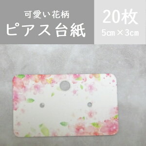 20yԕsNz@ANZT[䎆@sAX䎆@bsO