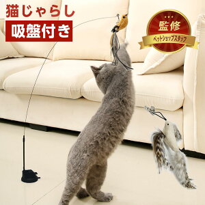 猫じゃらし 猫おもちゃ ねこじゃらし 猫 ねこ ネコ 猫用おもちゃ 吸盤式自動 知育玩具 おもちゃ 猫オモチャ 猫用品 ペットグッズ 羽根 鈴 伸びる しなやか 運動不足解消 ペット用品 送料無料
