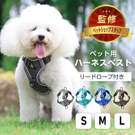 犬用 ハーネス 小型犬 抜けない 中型犬 犬 ネコ ウェア ハーネス リードセット 犬ハーネス 抜けない おしゃれ かわいい 脱げない 調節可能 引っ張り防止 散歩 1000円ポッキリ 送料無料 犬具