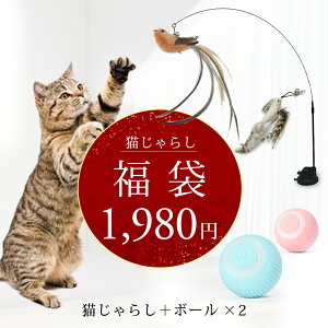 yL񂨂3_Zbg܁z L炵 {[  ˂炵 Lp L̂ L ˂ lR H  ނ Lpi ybgpi L XgX ^s