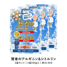 賢者のアルギニン&シトルリン 3袋 アミノ酸 ビタミン BCAA DHA EPA HMB マカ クラチャイダム トンカットアリ 推奨量たっぷり！モンドセレクション受賞！