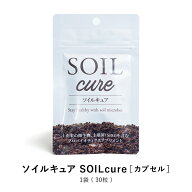 ソイルキュア カプセル 30粒 菌活 大豆 発酵 健康 美容 に必要な菌群がバランスよく入ってスッキリをサポ…