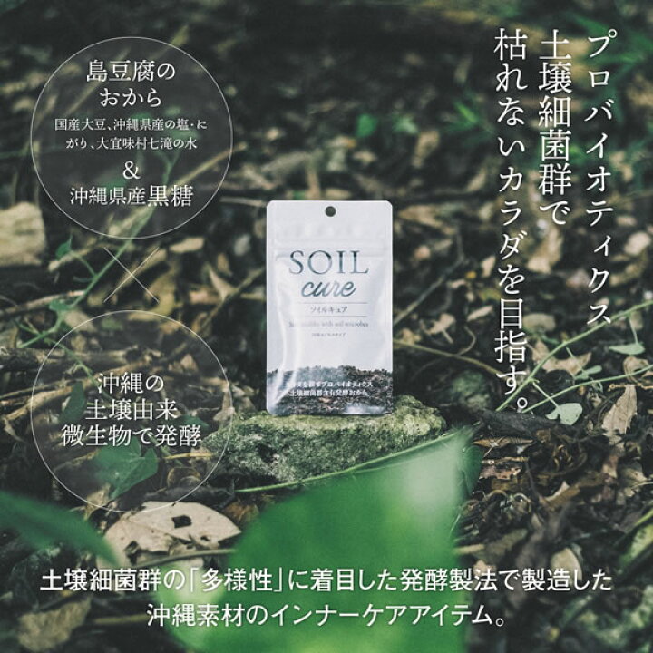 楽天市場】ソイルキュア パウダータイプ 15g 菌活 大豆 発酵 健康 美容 