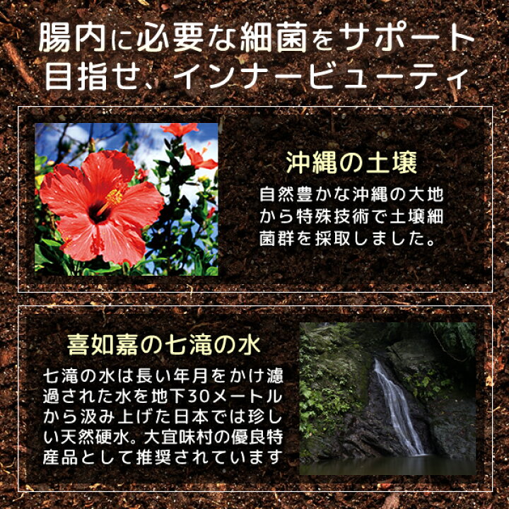 楽天市場】ソイルキュア パウダータイプ 15g 菌活 大豆 発酵 健康 美容 