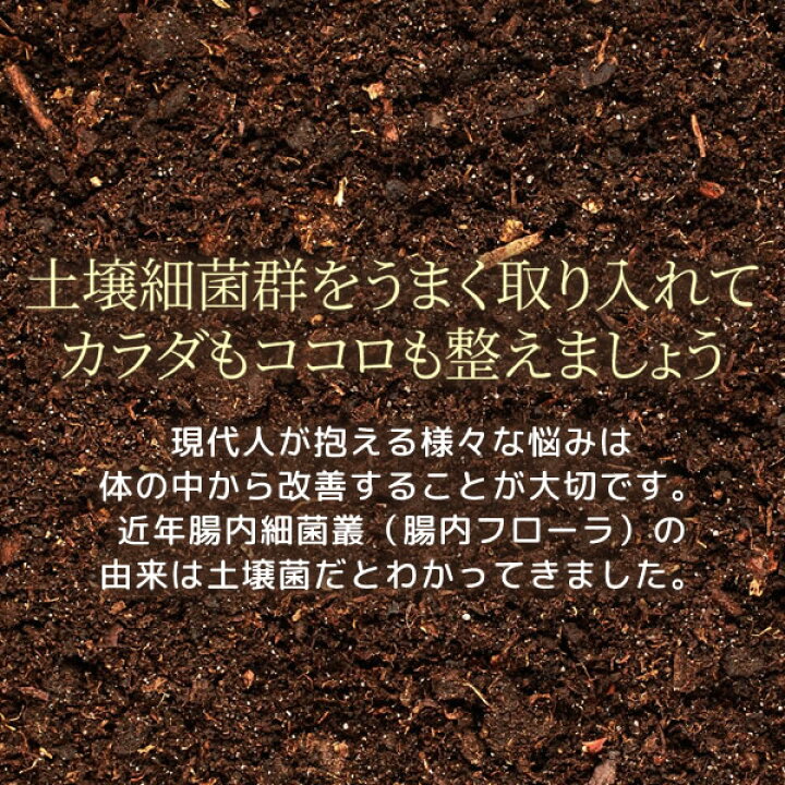 楽天市場】ソイルキュア パウダータイプ 15g 菌活 大豆 発酵 健康 美容  