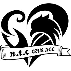 n.t.c コインアクセサリー