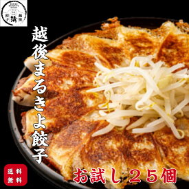 おひとり様1回限り 餃子 お試し 1袋 越後まるきよ餃子 25個 お取り寄せグルメ ぎょうざ ギョーザ 冷凍 国産 冷凍餃子 冷凍ぎょうざ 冷凍ギョウザ お取り寄せ 取り寄せ もちもち 肉汁 取り寄せ餃子 美味しい餃子 肉汁餃子 ビールのつまみ 鍋の具材 すぐ届く 送料無料