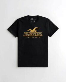 HOLLISTER Co. (ホリスター) HOLLISTERスポーツニット ロゴグラフィックTシャツ(Hollister Sport Knit Logo Graphic Tee) メンズ (Black) 新品