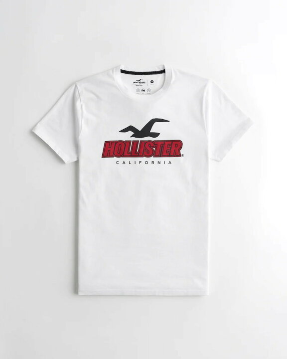 楽天市場】[P10倍☆3/4 20：00~エントリー必須]HOLLISTER Co  