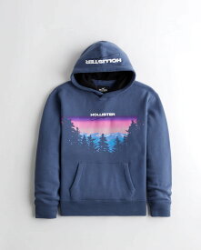 HOLLISTER Co. (ホリスター) ロゴグラフィック プルオーバー パーカー (Logo Graphic Hoodie) メンズ (Light Navy) 新品