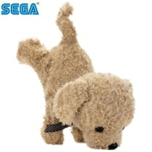 yz ZKtFCu RR AvRbg 4979750806483