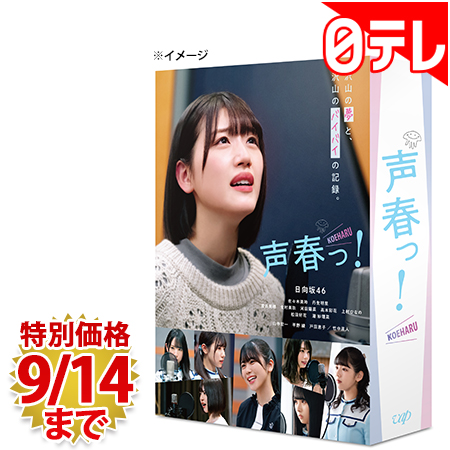 【SALE／102%OFF】 声春っ Blu-ray BOX 特典付き ポシュレ 限定製作 日本テレビ 通販