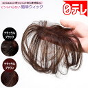 ピンのいらない簡単ウィッグ 日テレポシュレ(日本テレビ 通販 ポシュレ)