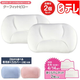 グーフィットピロー 2個セット （まくら干しネット付き） 【期間限定4/14まで】 日テレポシュレ(日本テレビ 通販 ポシュレ)