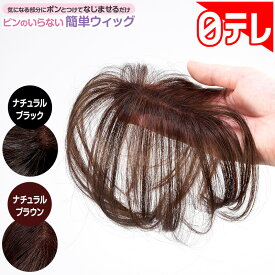 ピンのいらない簡単ウィッグ 日テレポシュレ(日本テレビ 通販 ポシュレ)