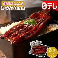 特大3Lサイズ葵うなぎ長蒲焼185g×3尾セット 日テレポシュレ(日本テレビ 通販 ポシュレ)