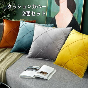 �������� �N�b�V�����J�o�[�@ 55x55cm 2�Z�b�g�@�����`�^�C�v �������� �X�E�F�b�g �k�� �V���v�� ���킢��