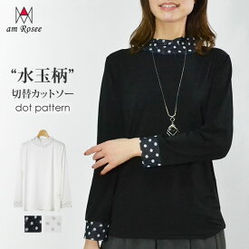 【送料無料】水玉柄パワーネット切替ハイネックカットソー レディース カットソー インナー ハイネック 長袖 トップス 無地 ドット柄 ストレッチ レイヤード 春 秋