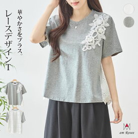 アイレットレース 切替 Tシャツ トップス レディース プルオーバー クルーネック 丸首 半袖 シアー 綿混 体型カバー カットソー 春 夏 秋 レイヤード フェミニン カジュアル