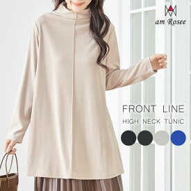 【送料無料】フロントラインハイネックフレアチュニック レディース チュニック ハイネック ボトルネック 長袖 体型カバー トップス カットソー タック フレア 秋 冬 春 シンプル 定番