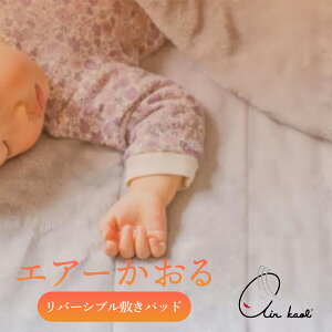 yVizGA[ GA ~pbh o[Vu Ki 100 X[p[ZERO pC ڂ^I { Q 򕌌 ^I ӂ K[[ VO AN580901