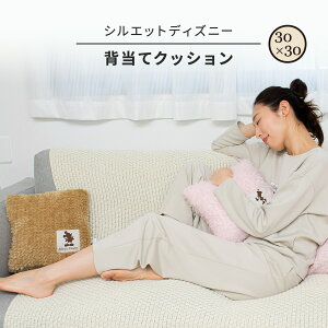 fBYj[ ~jNbV 30×30cm 45×45cm V[v {A Disney wăNbV lp ~bL[ ~j[ CeA  ӂ  킢  NbV rO \t@[ K