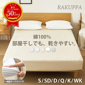 ySS艿iz50OFFž^ {bNXV[c pbȟ^ ~pbh pC Rbg ₷ RAKUPPA 100%  ₷eCW TEIJIN R hL ^In VO Z~_