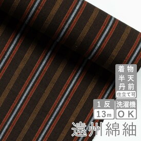 遠州綿紬 S-33 -中秋（ちゅうしゅう）-