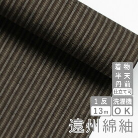 遠州綿紬 S-35 -刈田（かりた）-