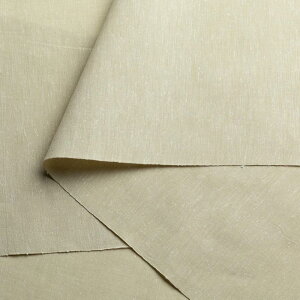 遠州綿紬 無地紬 やなぎ カット売り【小型宅急便5mまで対応可】