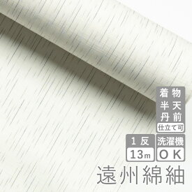 遠州綿紬 絣紬 とぎれ縞 -白地-
